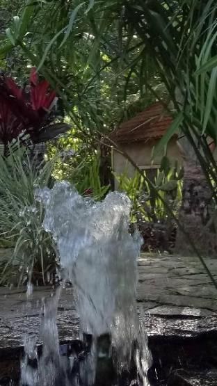 Outdoor Pictures 6