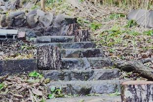 Outdoor Pictures 17