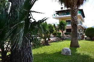 Outdoor Pictures 12