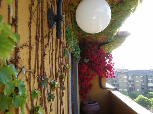 Outdoor Pictures 3