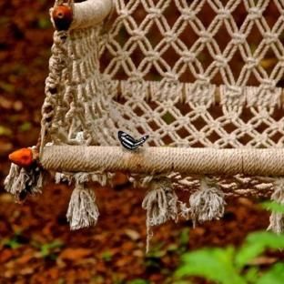 Outdoor Pictures 7