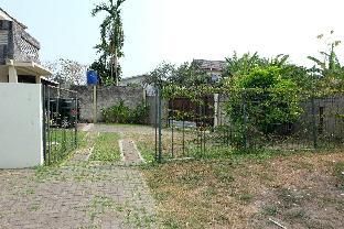 Outdoor Pictures 12