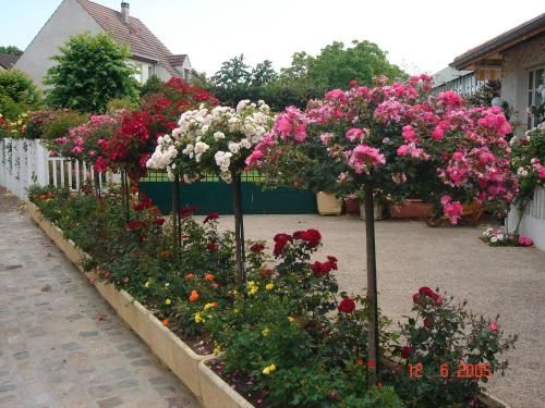 Outdoor Pictures 3