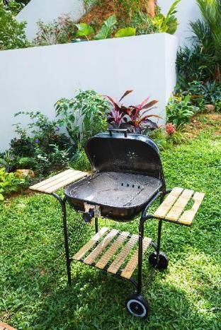 Outdoor Pictures 12