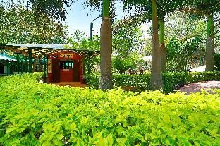 Outdoor Pictures 13