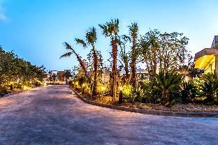 Outdoor Pictures 13