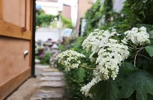 Outdoor Pictures 12