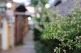 Outdoor Pictures 13