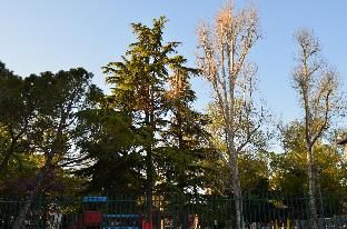 Outdoor Pictures 6