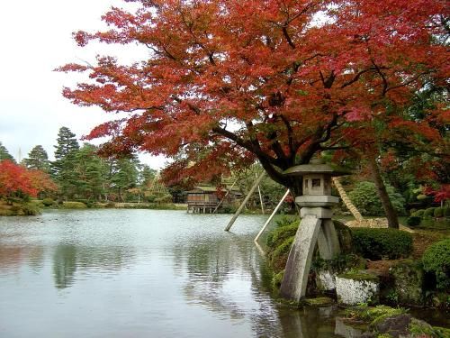 Outdoor Pictures 1