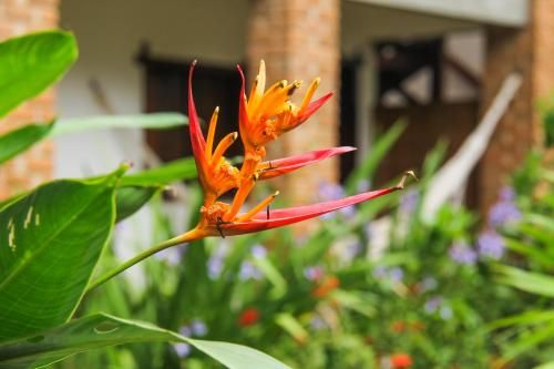 Outdoor Pictures 7