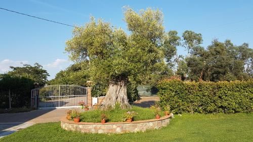 Outdoor Pictures 9