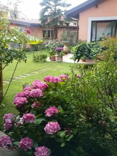Outdoor Pictures 9