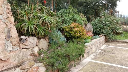Outdoor Pictures 7