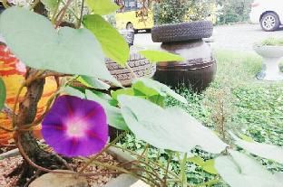 Outdoor Pictures 14