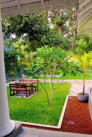 Outdoor Pictures 7