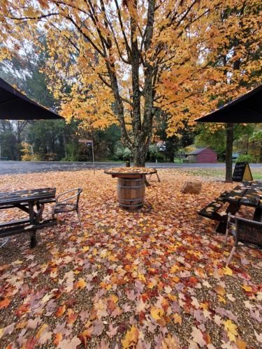 Outdoor Pictures 7