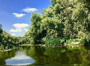 Outdoor Pictures 13