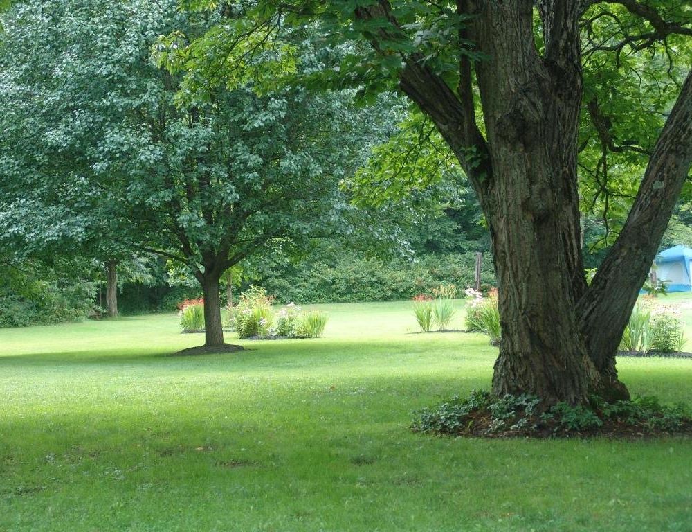 Outdoor Pictures 14