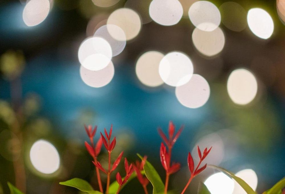 Outdoor Pictures 4