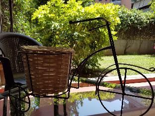 Outdoor Pictures 17