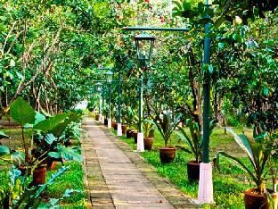 Outdoor Pictures 15