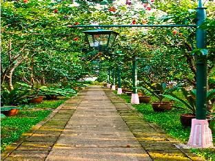 Outdoor Pictures 16