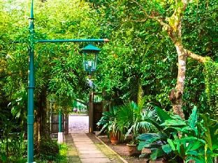 Outdoor Pictures 20