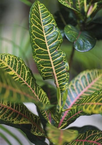 Outdoor Pictures 24
