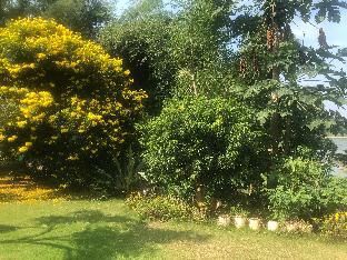 Outdoor Pictures 15