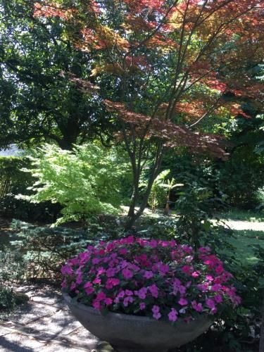 Outdoor Pictures 20
