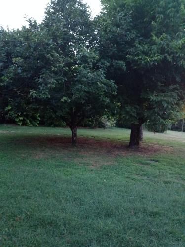 Outdoor Pictures 22