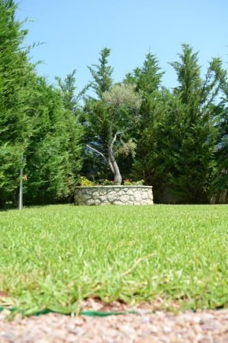 Outdoor Pictures 21
