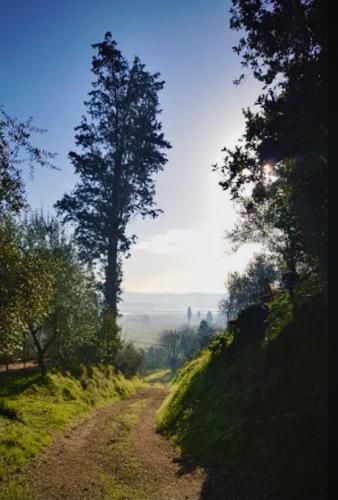 Outdoor Pictures 22