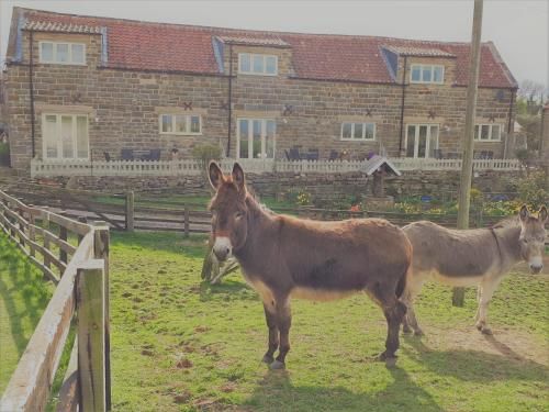 Meadowbeck Holiday Cottages