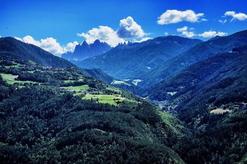 Outdoor Pictures 15