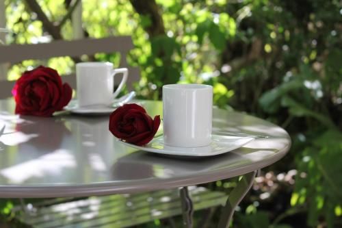Outdoor Pictures 10