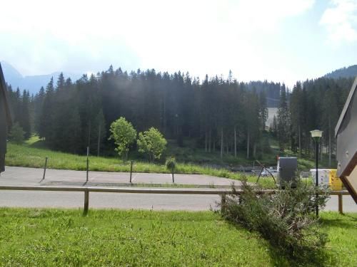 Outdoor Pictures 11
