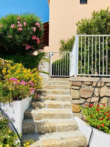 Outdoor Pictures 21