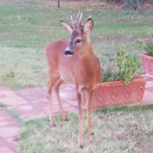 Outdoor Pictures 4