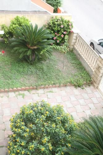 Outdoor Pictures 15