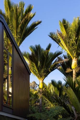 Outdoor Pictures 22