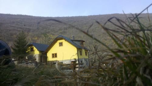 Guest House - Stari Javor B&B