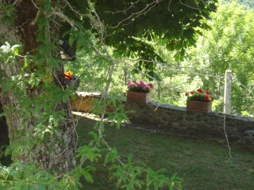 Outdoor Pictures 13