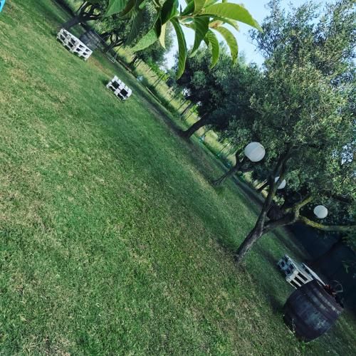 Outdoor Pictures 7