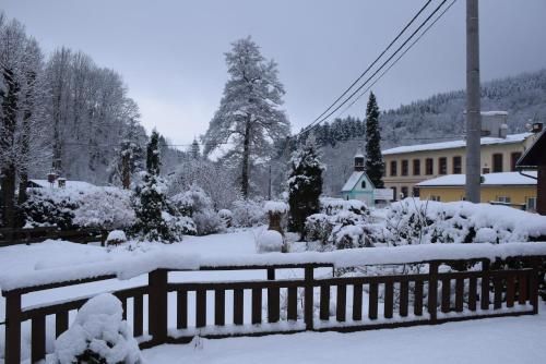 Outdoor Pictures 5