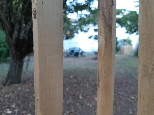 Outdoor Pictures 7