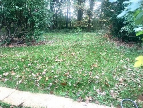 Outdoor Pictures 7