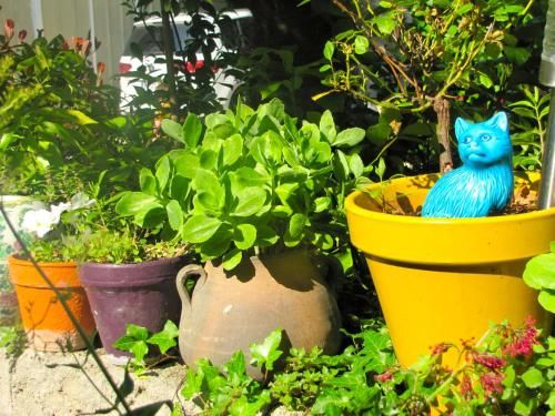 Outdoor Pictures 7