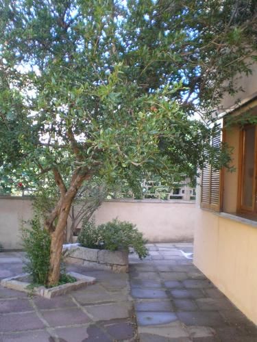 Outdoor Pictures 1